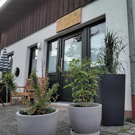 Ferienwohnung Zum Eifelelch Daun Luaran gambar